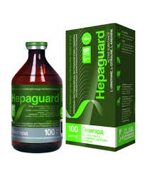 Гепагард ін'єкційний 100 мл Олкар