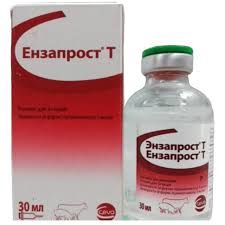Энзапрост Т 50 мл Сева