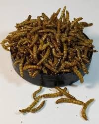 Мучной хрущак сухой натуральный Буся Mealworm. Банка 600мл/100г 