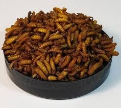 Сухой корм Буся Maggot  Опарыш для ежей, птиц и грызунов 250 гр / 600 мл