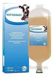 Вакцина Коглавакс 50 доз 100 мл 