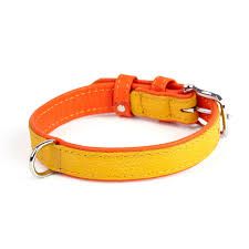 Нашийник двокольоровий16 мм 260-310 мм Продукт