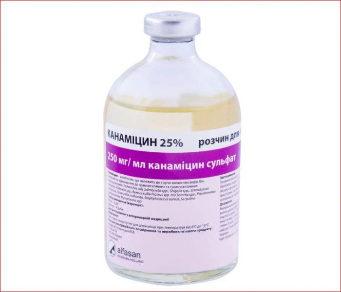 Канамицин 25% 100 мл Alfasan
