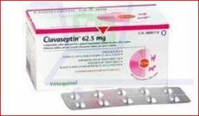 Клавасептин 62,5 мг таблетки №10, Ветокинол