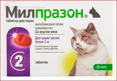 Милпразон для кошек более 2-х кг 216/40 мг KRKA ц