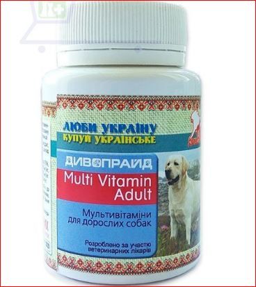 Мультивитамины для взрослых собак 100 Дивопрайд