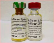 Вакцина Нобивак Трикет Трио с растворителем 1 флакон 1 доза Nobivac