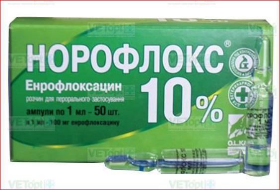 Норофлокс 10 % орал 1 мл 10 Олкар