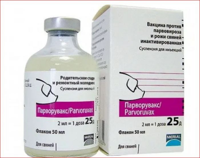 Парворувакс вакцина 25 доз во флаконе