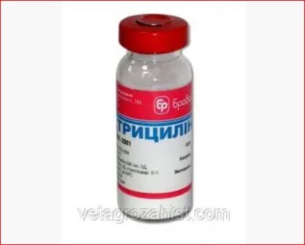 Трициллин порошок 6 г\фл. Бровафарма ц